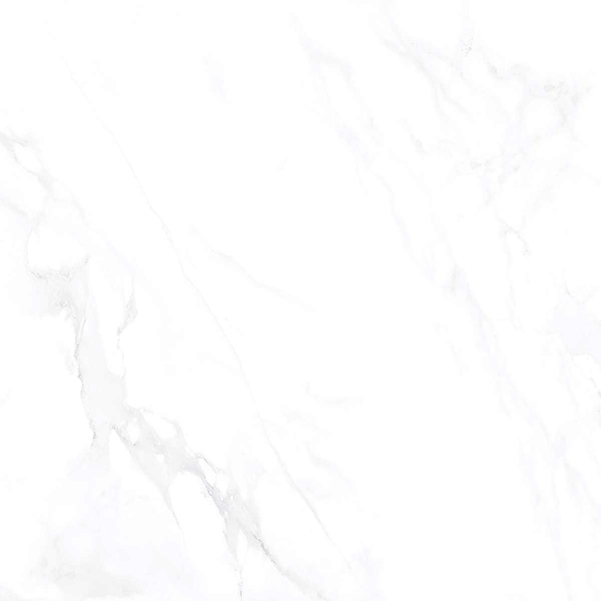 CARRARA GREY NEW